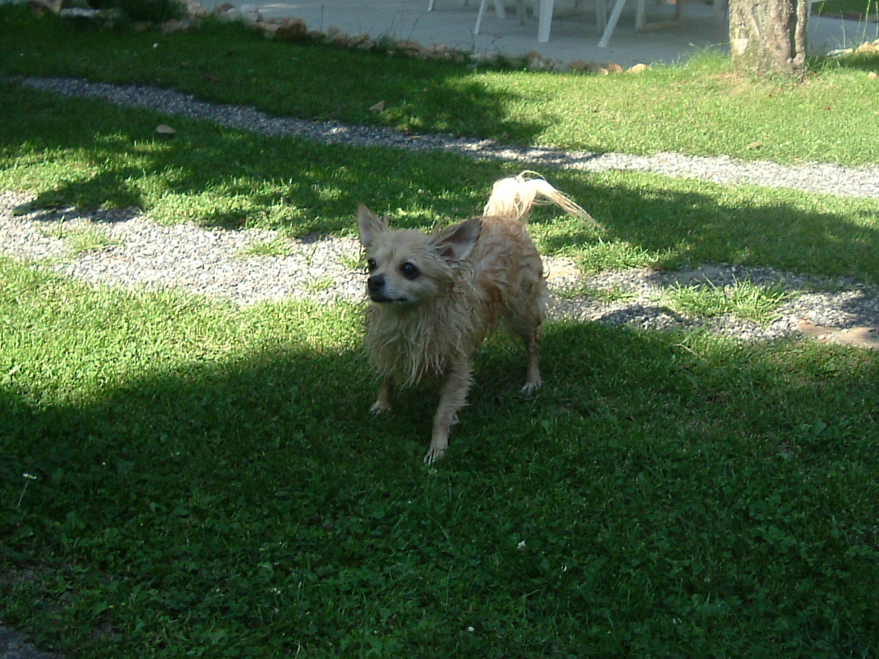 DSCF0844.JPG