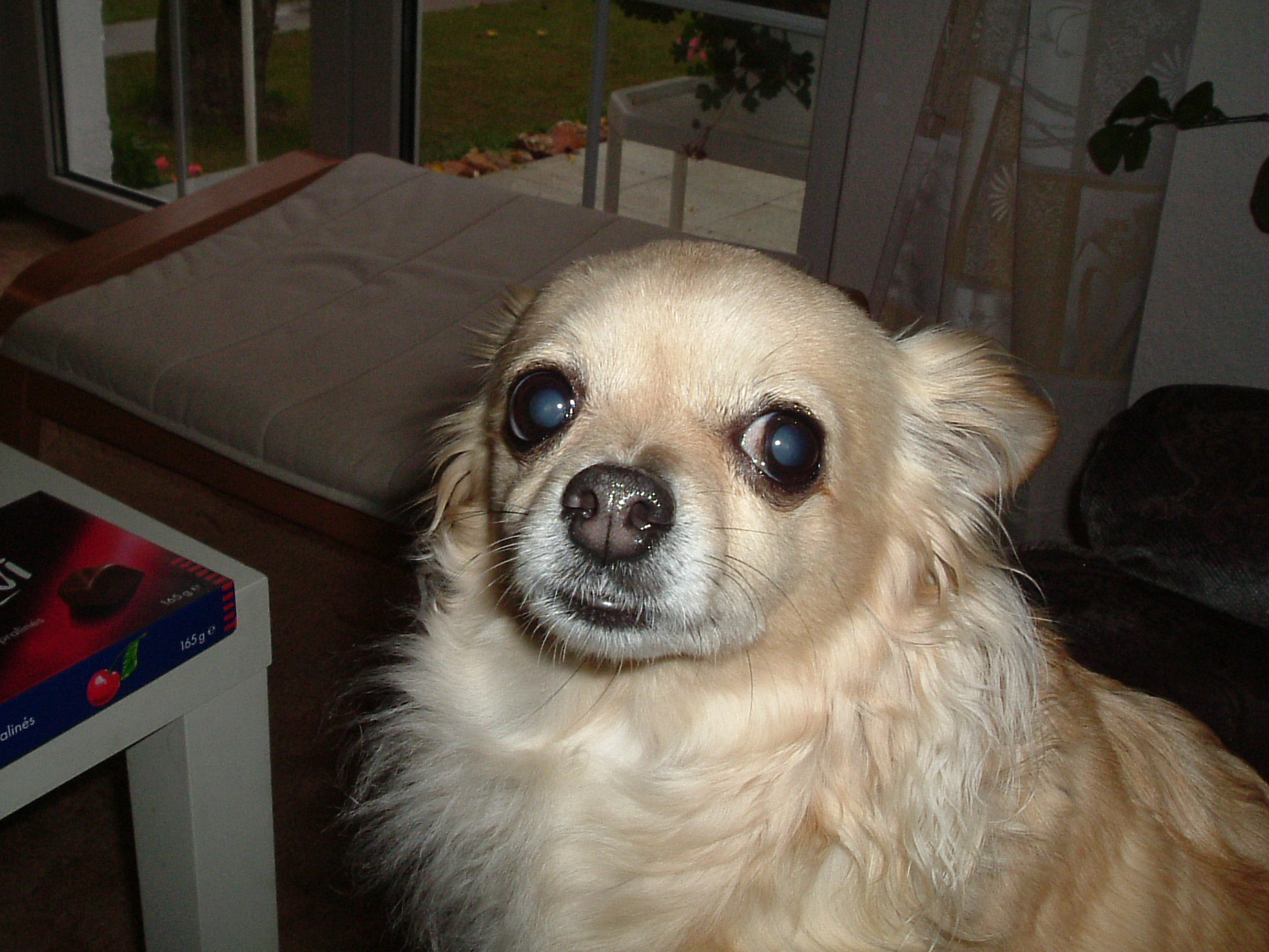DSCF0480.JPG