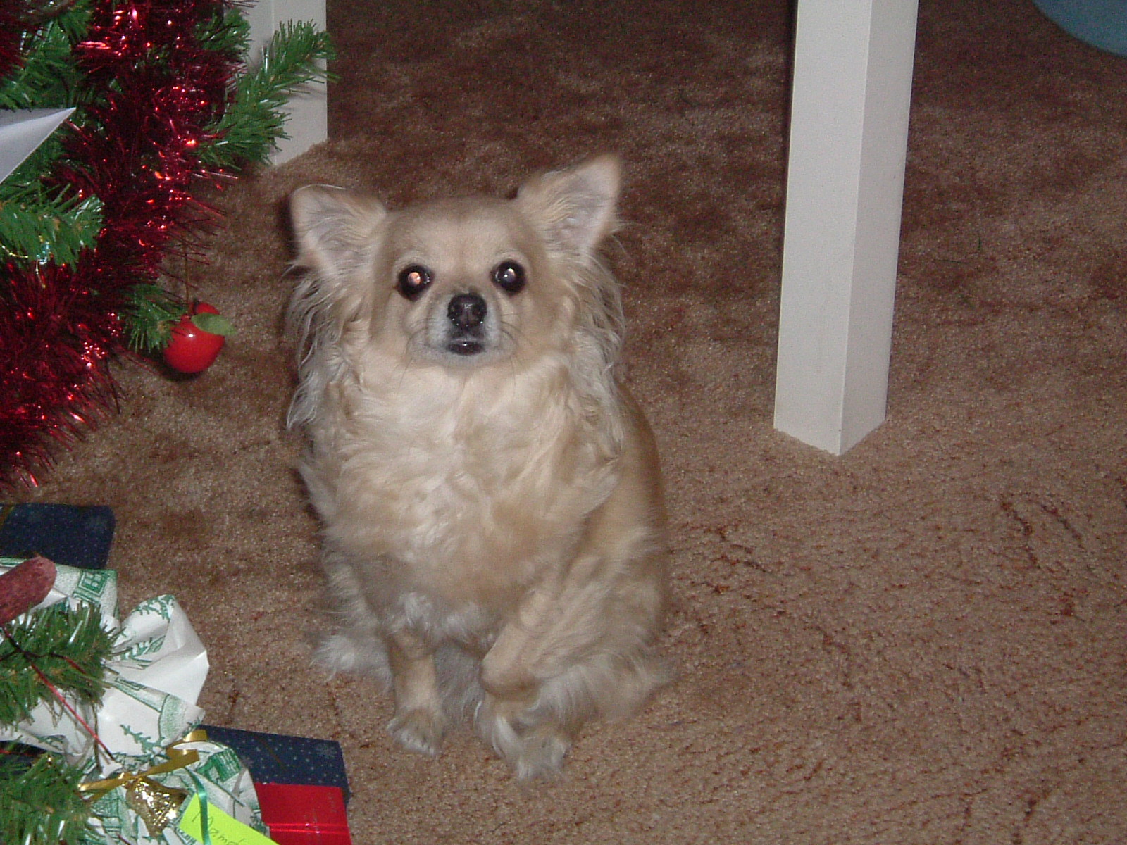 DSCF0671.JPG